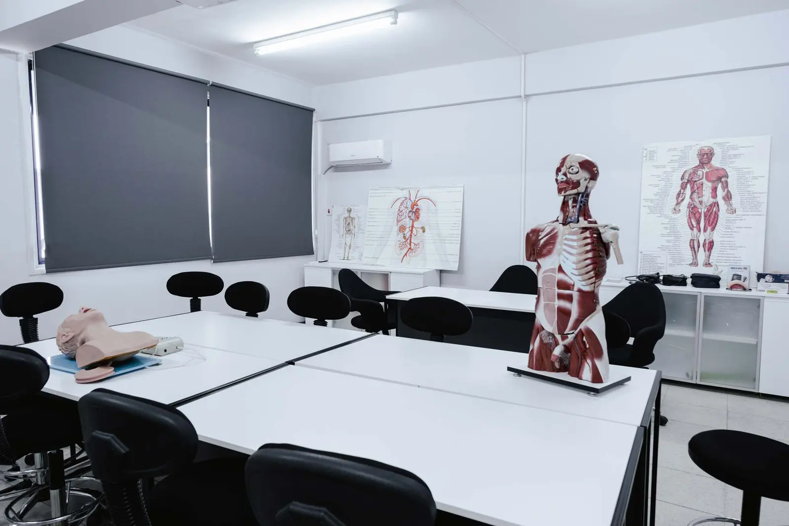 Lab with anatomy models