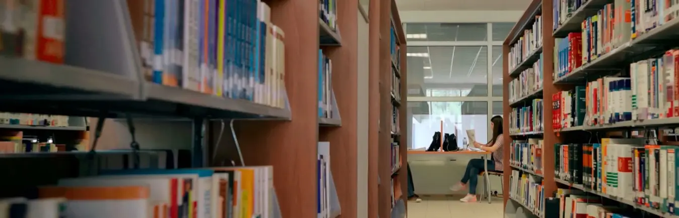 Library stacks