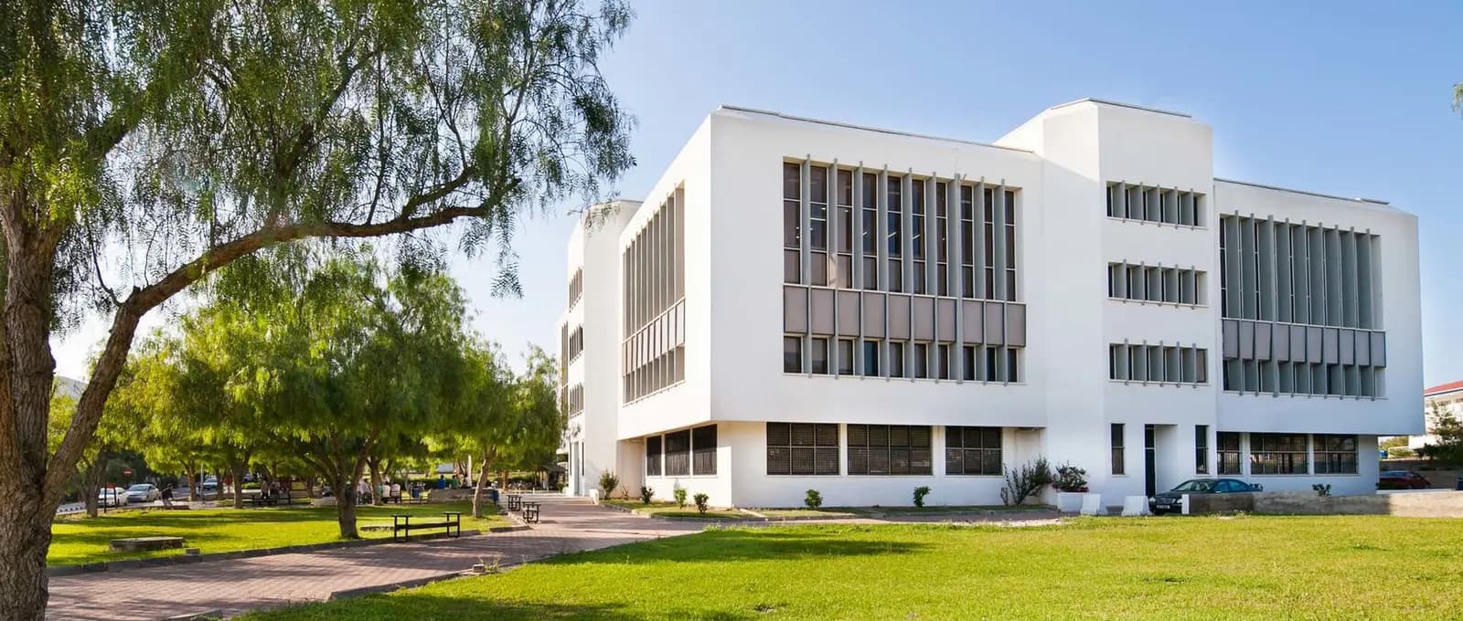 Özay Oral Library
