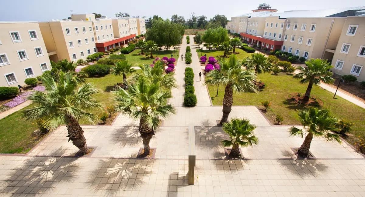 Dormitory blocks around a palm courtyard