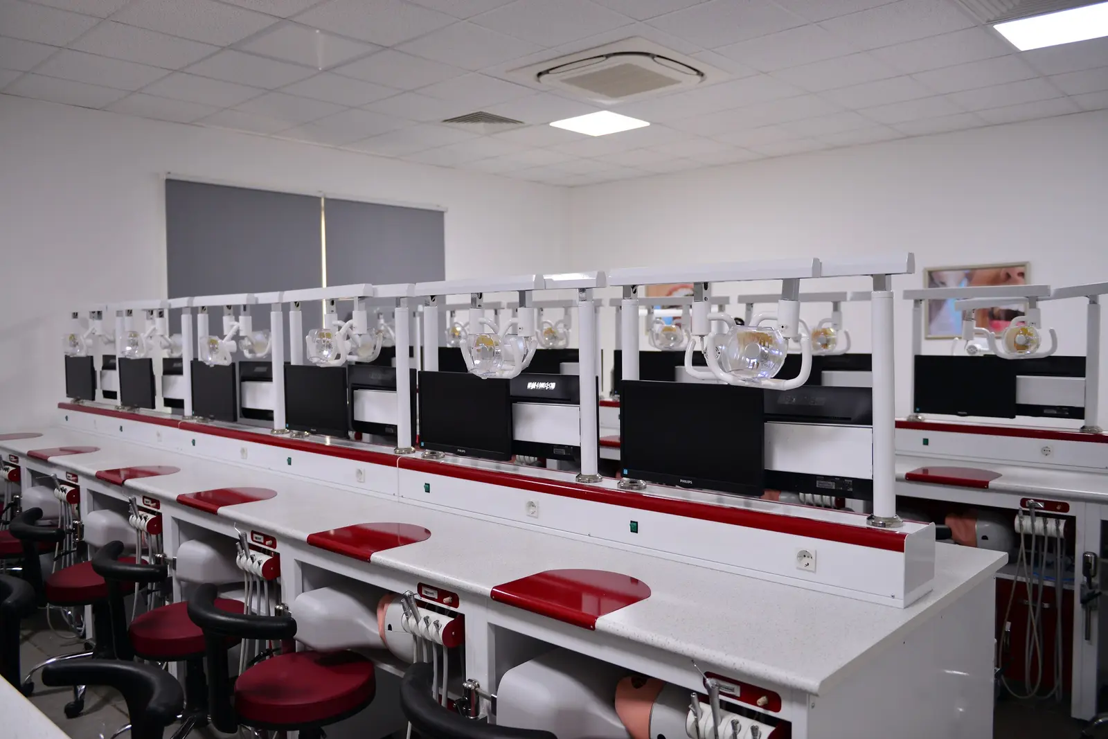 Dental simulation lab